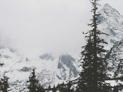 코스피 장중 2,700선 회복…외국인 순매수 확대