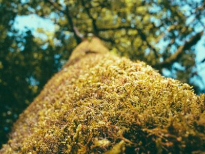 알뜰폰 번호이동 지원금 도입…통신비 경쟁 촉진