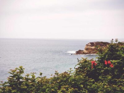 뉴욕증시, 엔비디아 급등 속 혼조 마감…다우는 약세